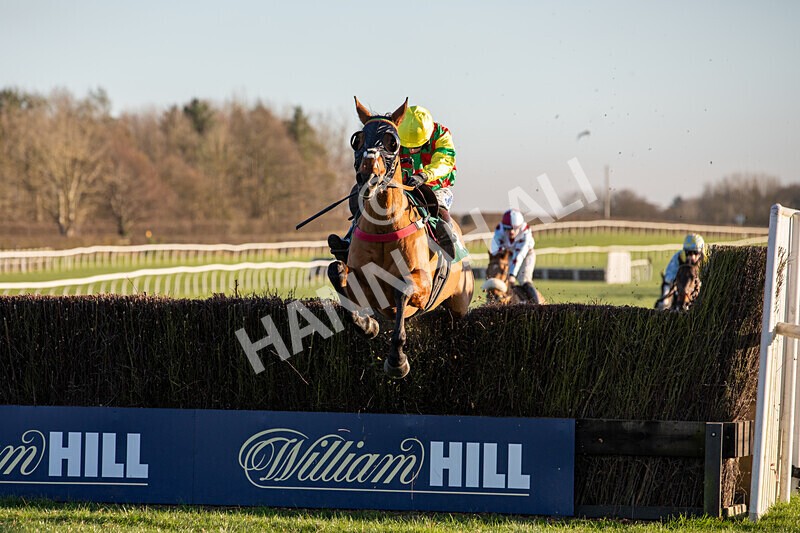 221124-Race 4-Duke Of Luckley--8568 - Race 4