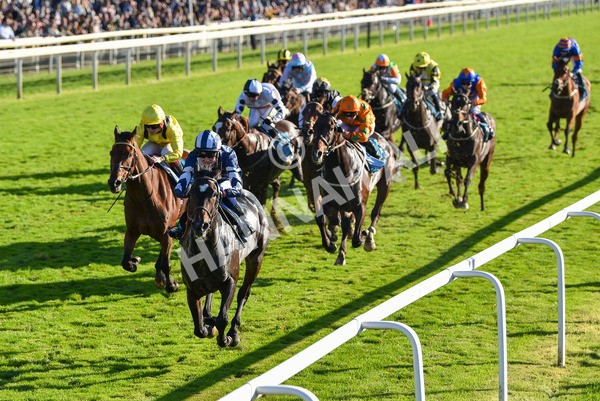 141023-Race 5-Certain Lad-1343 - Race 5 3.35pm Coral Racing Bet Bundles Handicap