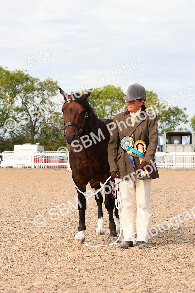 SBM_18064 - Class 707 - IH Groom - Helpers Glass