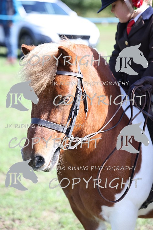 APP_3875 - Class 13 Lead rein