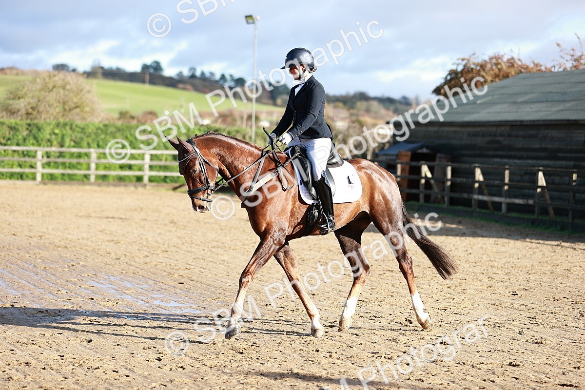 SBM_000345 - Ele 4