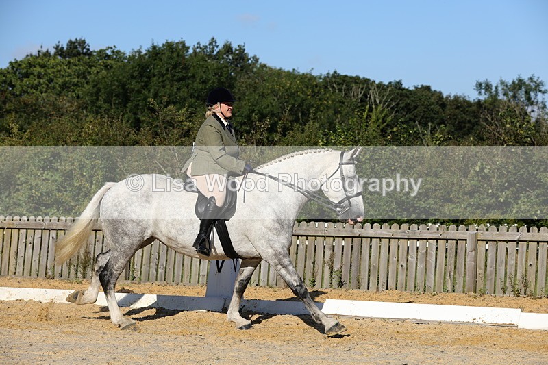 1X9A7574 - Class 7: Novice Ridden Hunter/Hack/Cob/Riding Horse