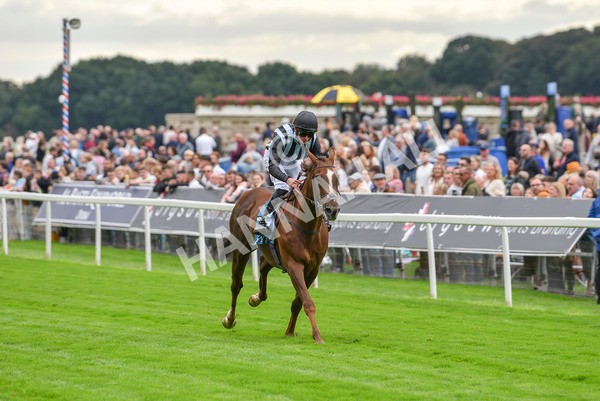 230923-Race 2-Palamon-6042 - Race 2 2.35pm jigsawsportsbranding.co.uk Handicap