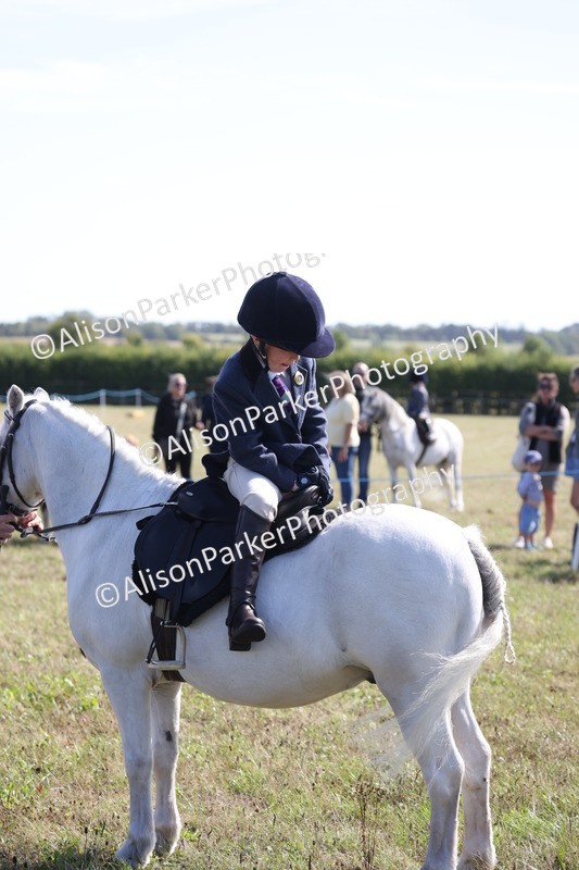 20260906-2222 - Class 16 - Family Pony