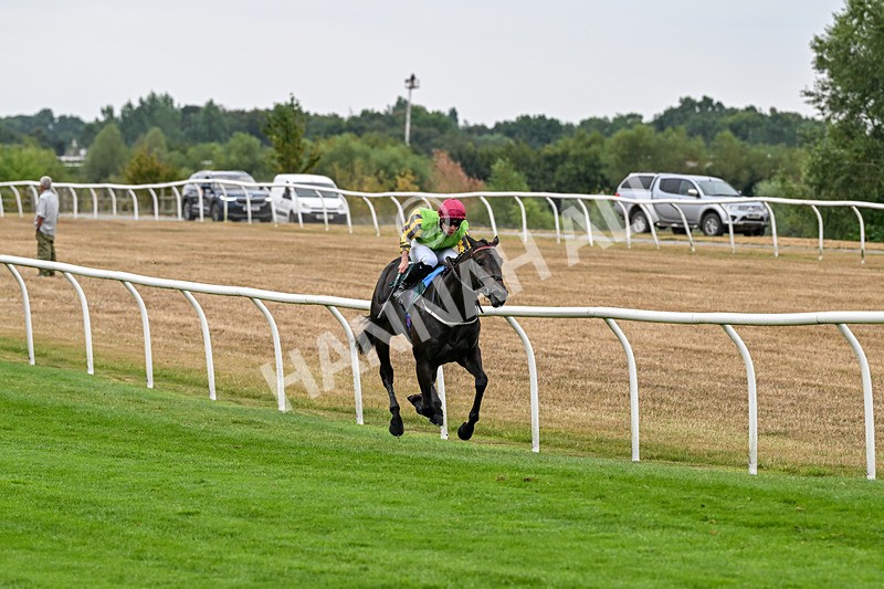170826-Race 4-Star Noir-9567 - Race 4 15.45pm Constant Security Services Novice Stakes
