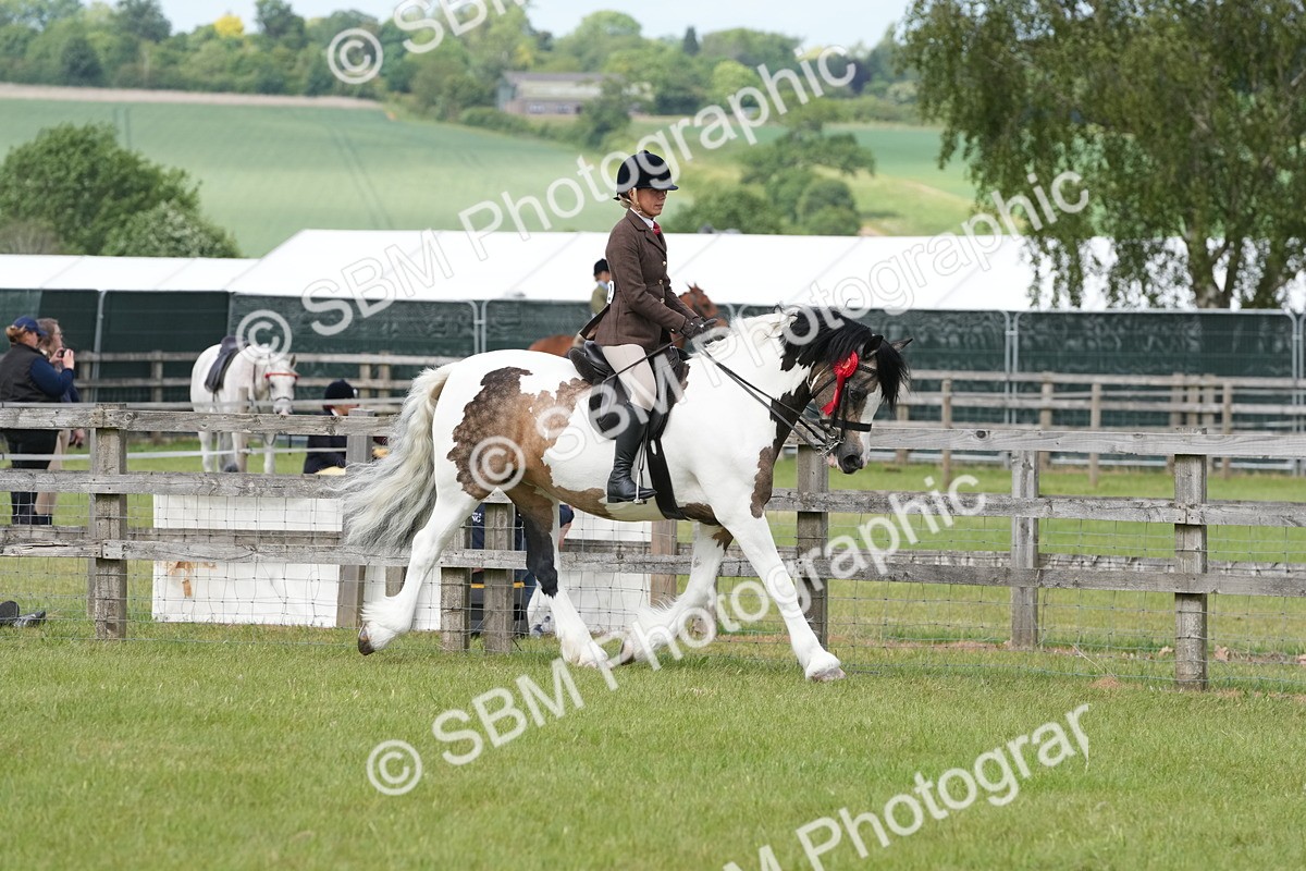 SBM_17631 - Class 107-108 - LIHS BSPS Performance Coloured Horse Pony