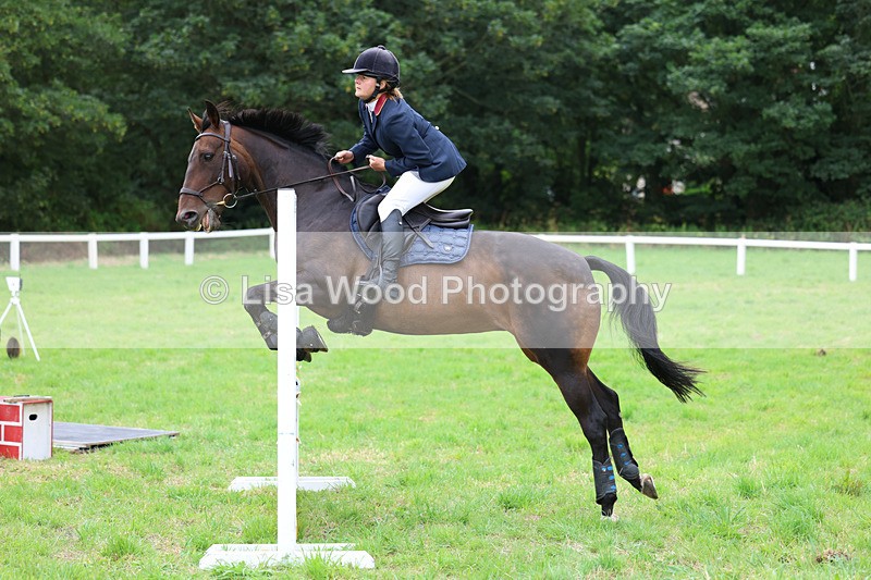 3E7A7178 - Class 5: Senior British Novice/90cm open