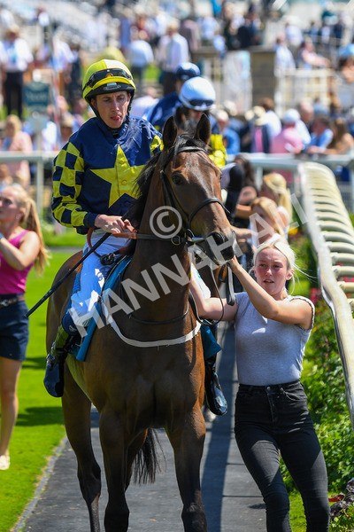 160623-Race 2-Celestial Flight-0248 - Race 2 2.25pm SKF Rous Selling Stakes