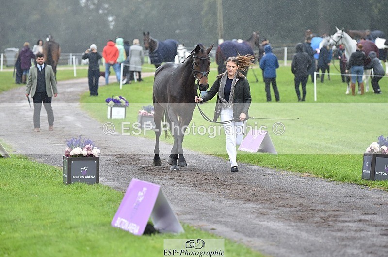 231018-121124-00123 - 021-DESTINY-Annie.Smith-TrotUp