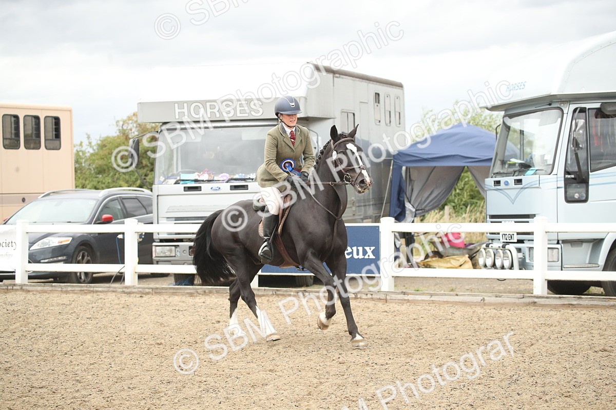 SBM_18484 - Class 510a - Working Veteran 90cm (15-19)