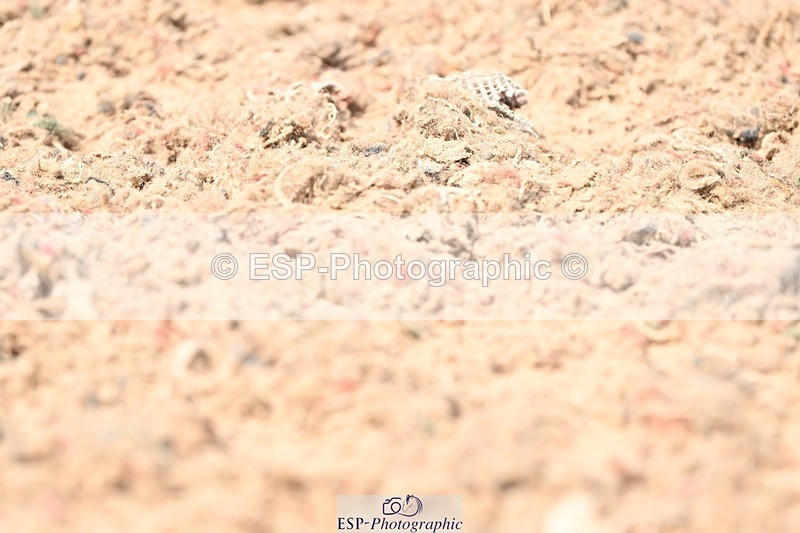 250620-144443-03795 - BD Cls 7 - Elementary 5, 14.40 to End