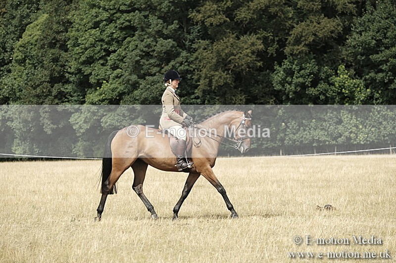 _PJP6107 - Ridden Championship BVRC Show 2018