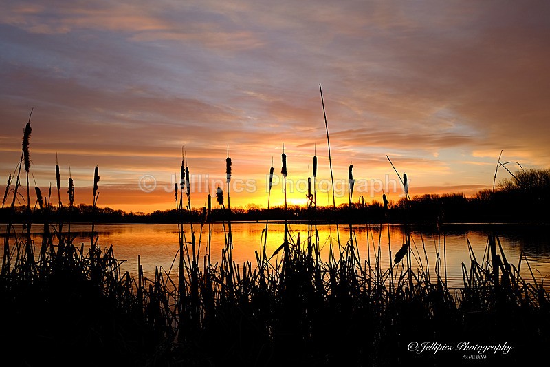  - Landscapes
