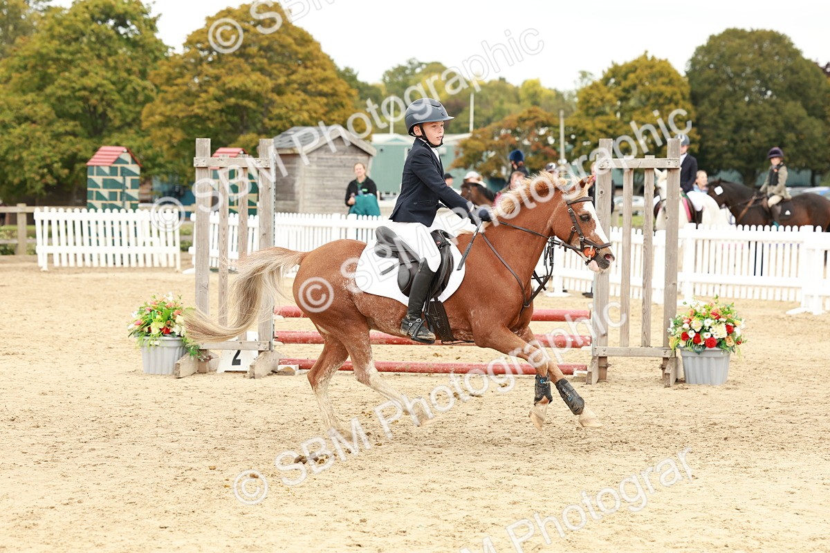 SBM_63586 - J12 - Junior Pony 55cm Championship