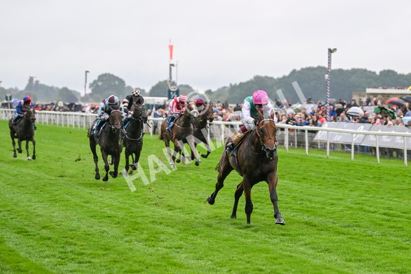 080924-Race 1-Windlord-8800 - Race 1 1.40pm British European Breeders Fund Novice Stakes