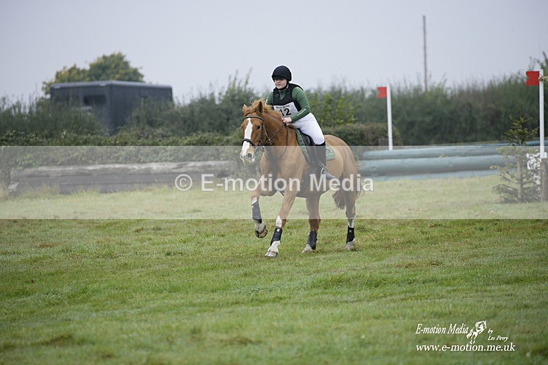 WWHT 171021 0081 - Novice Restricted (0.80m)  17/10/21