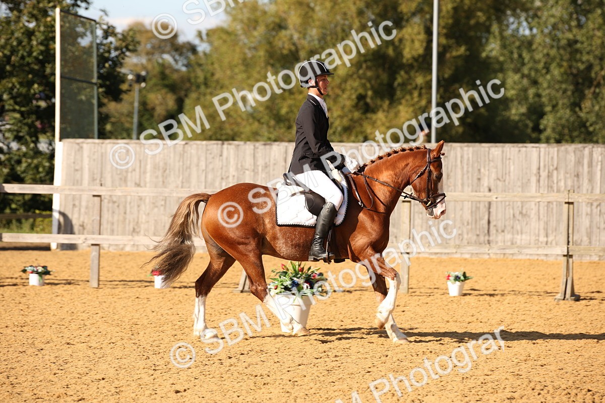 SBM_28272 - D11 - Small Tour Championship - Prelim 13