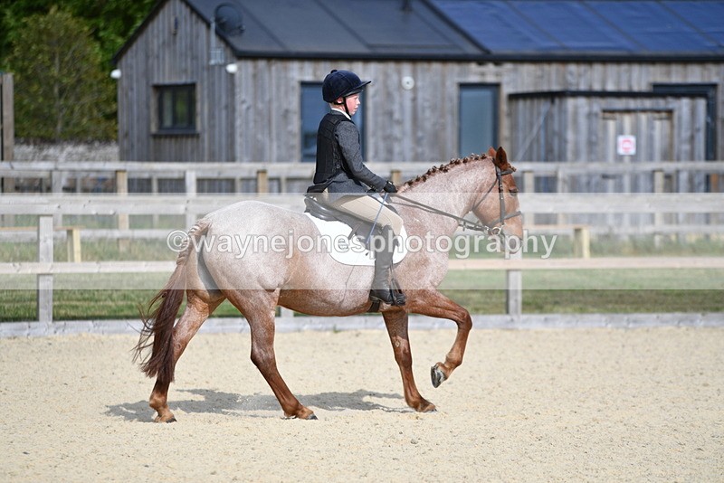 WJ5_8022 - Time 16:56 to 17:14