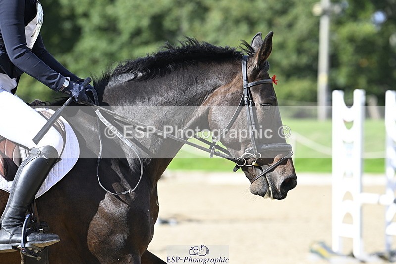 251005A-142421-04395 - Cls 09 Nov 80-85cm