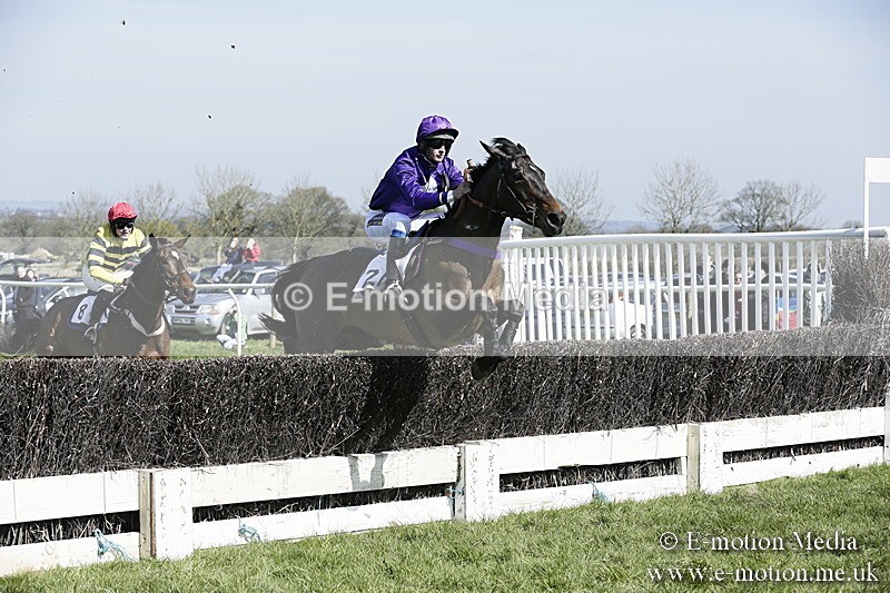 PtP 260317 48 - Mendip Farmers Point-to-Point Ston Easton 26/03/17
