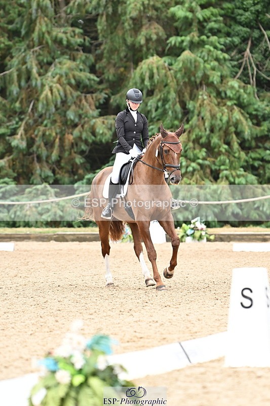 250808A-103259-00344 - 024-Daisy.Hedges-Felicia.V