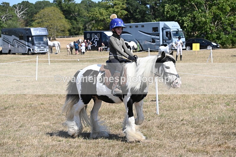 WJ6_9165 - Championship Classes 33-38