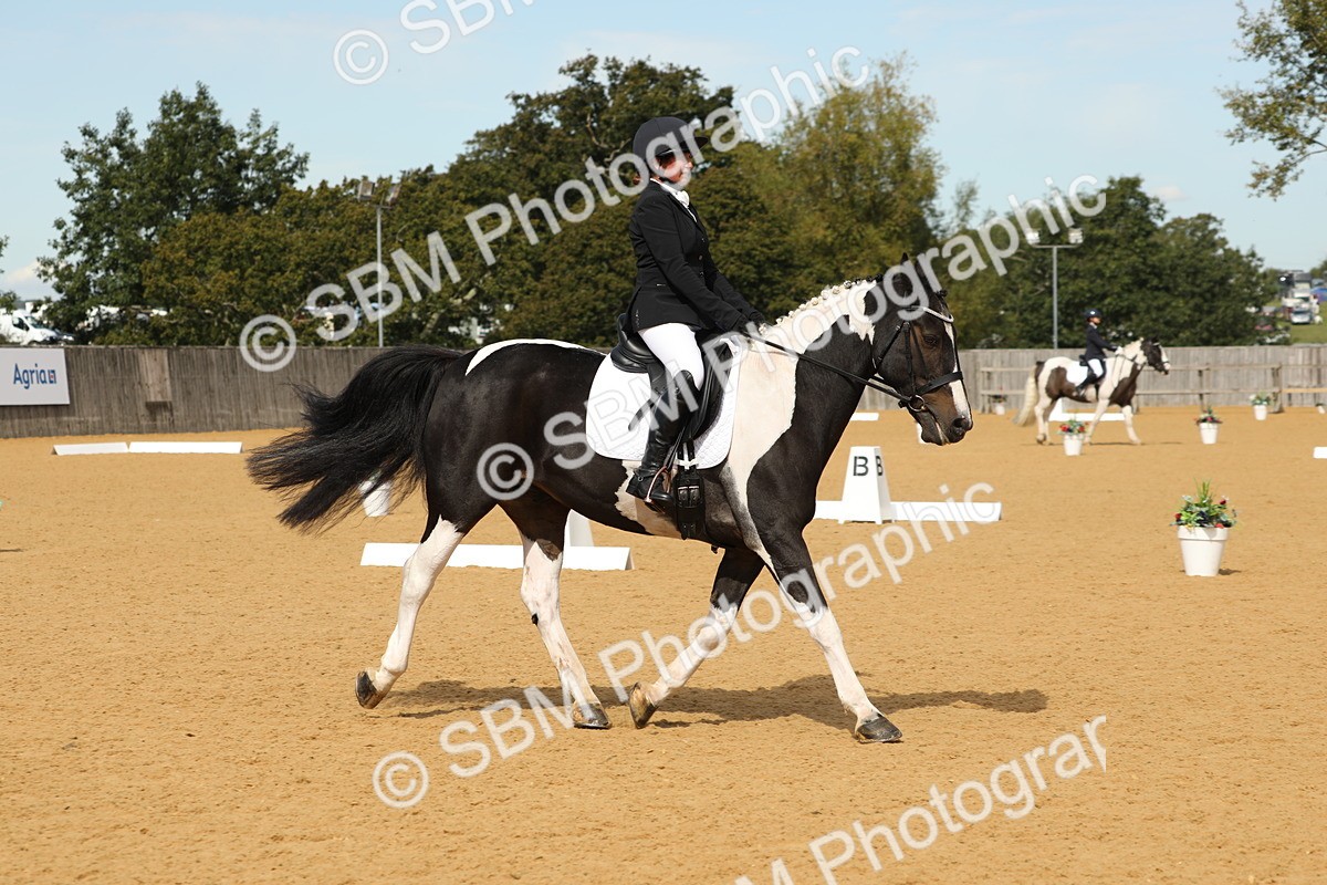 SBM_22193 - D17 - Grand Tour Championship - Novice 27