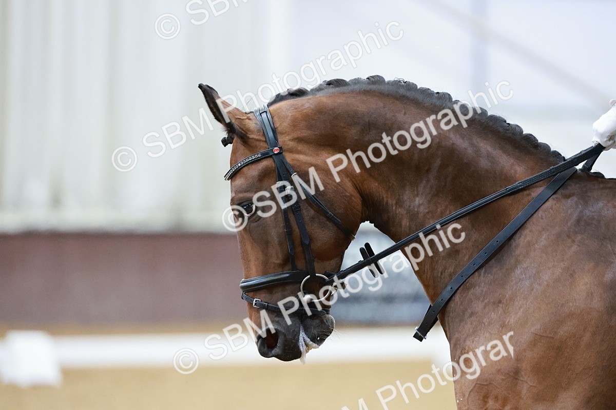 SBM_003556 - Class 1 - Prelim 6 - 10.40-11.50