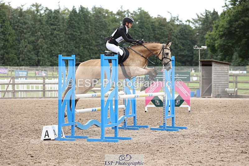 240804-130012-13548 - 521-Lily_Howell-WOODFIELD_GOLD