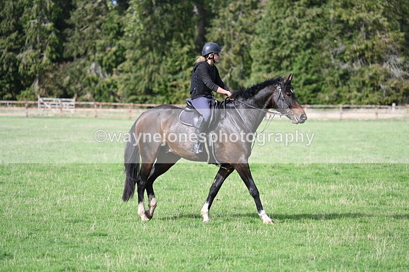 WJ7_9872 - Time 13:13 to 13:55