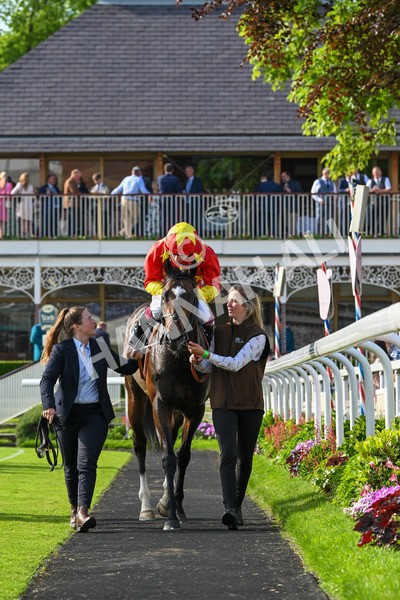 170524-Race 7-Jubilee Walk-8796 - Race 7 5.20pm Irish Thoroughbred Marketing Handicap
