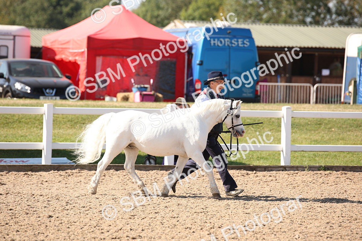 SBM_02687 - Class 16 IH M&M Wildcard