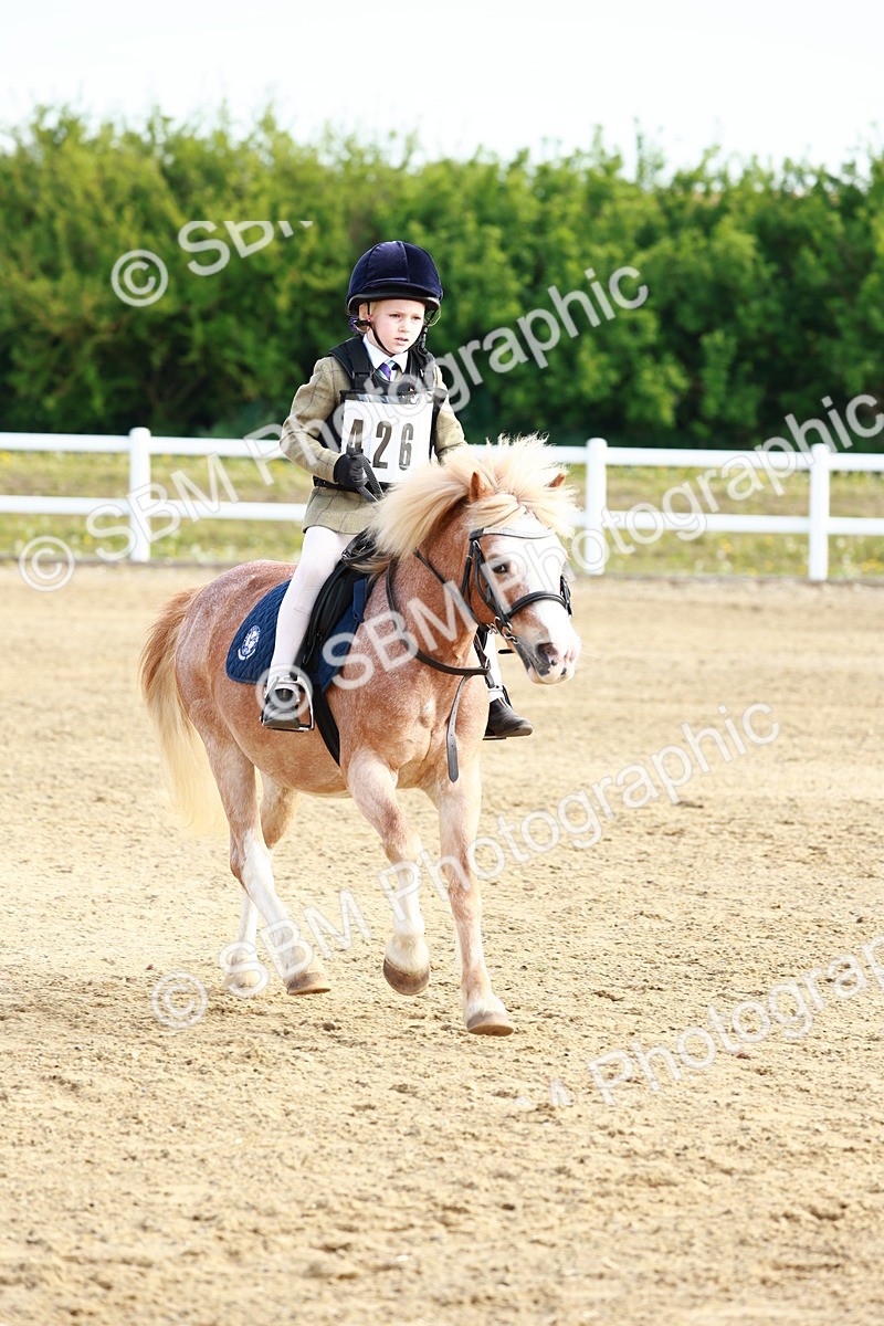 SBM_006368 - Class 1 - 40cm