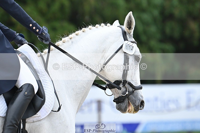 231019-122644-03104 - 114-LATINA'S.TWINKELING-Pippa.Haslam-DR