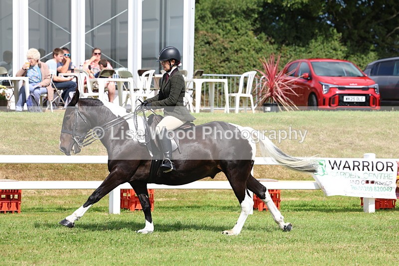 3E7A9755 - Class 5: Rising Star Lightweight/Heavyweight Cobs