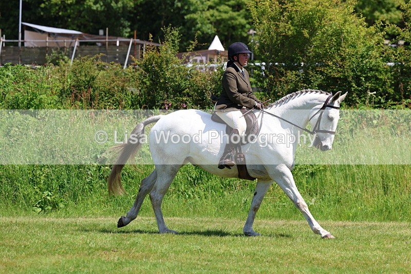 3E7A8061 - Working Hunter Championship