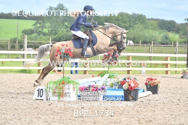 BPP_1734 - DERBY CLASS 4 - 50CM