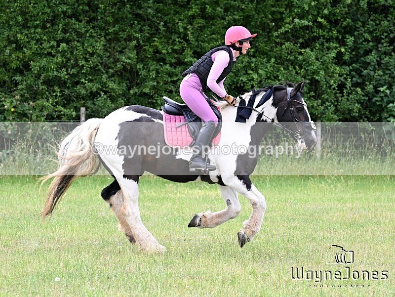 WJ7_8695 - Kellie Jade Ellie XC training with Kelly Harris 28-06-26