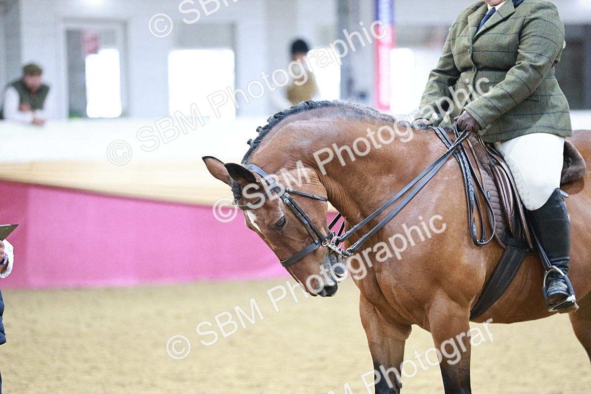 SBM_08199 - Class 11R - Regional Ridden Veteran