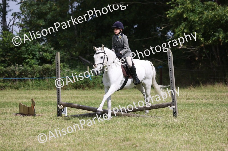 20260614-0544 - Class 20 - Beginners Working Hunter Pony