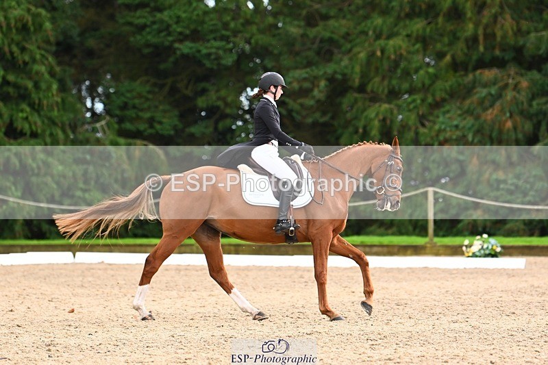 231021-162012-21093 - 265-EG.TIGER.CHILLI-Tayla.Mason-DR