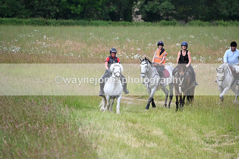 WJ6_8034 - Camera 1 Gallops