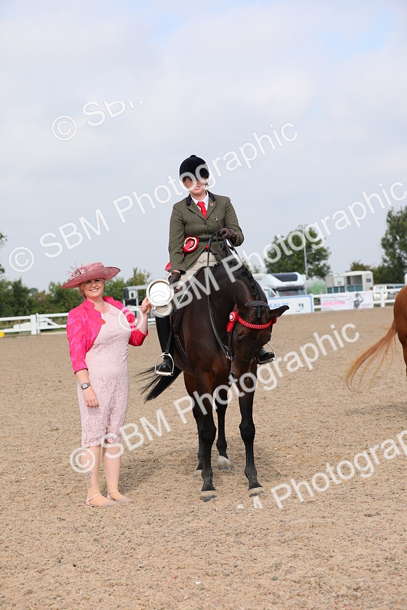 SBM_11474 - Class 305 Ridden Foreign Breeds- Pure Bred