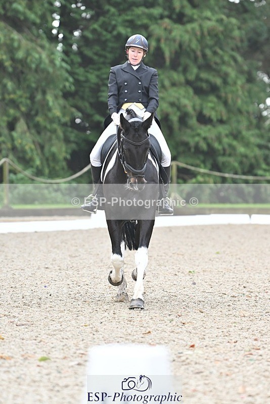 231019-103244-01890 - 101-RICARDO.COLOURS.II-Elizabeth.Wadey-DR