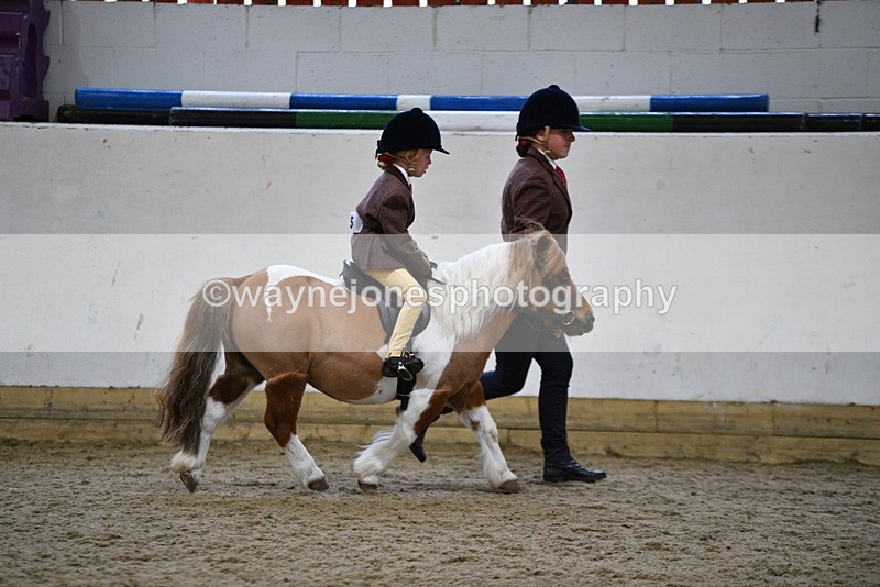 WJ5_6765 - Class 10 Childs Pony