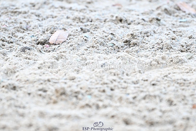 231110-145529-02066 - Cls 8 Medium 75Q