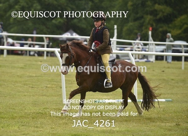 JAC_4261 - WORKING HUNTER CHAMPIONSHIP