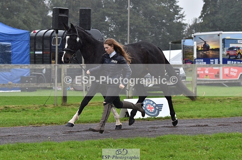 231018-120100-00035 - 004-CARTOON.HERO-Sophie.Wildern-TrotUp