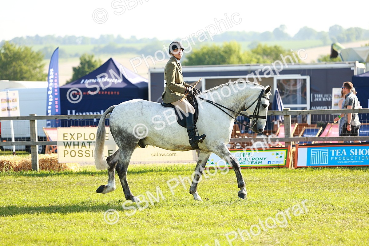 SBM_10822 - Class 66-69 - RIHS Ridden Hunters Inc Small Hunter