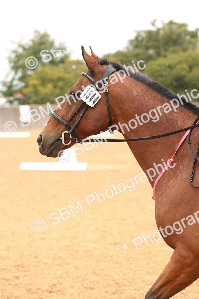 SBM_44110 - D6 - Small Tour Championship Intro 4